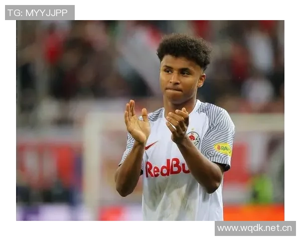 德媒揭示阿德耶米神秘盒子真相并非误购武器背后故事