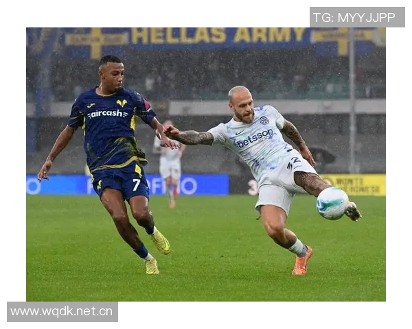 罗马关注维罗纳右后卫贝尔加利预计转会费约1500万欧元 罗马关注维罗纳右后卫贝尔加利预计转会费约1500万欧元