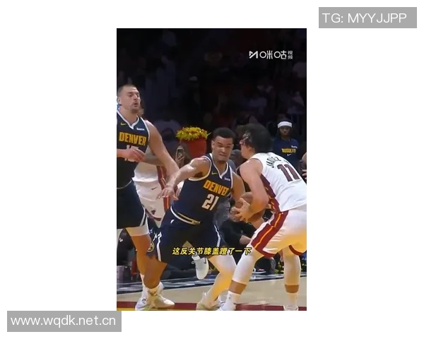 约基奇大哥因湖掘大战后事件承认指控获缓刑一年引发拳击球迷热议